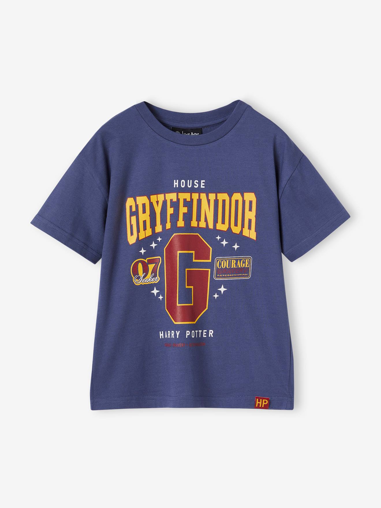 Harry Potter T Shirt for Boys slate blue