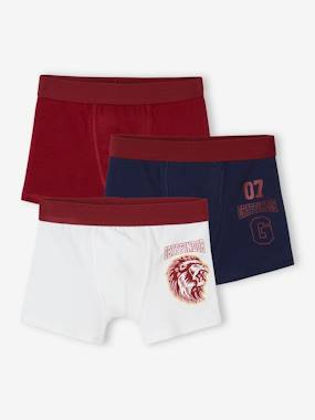 -Pack of 3 Harry Potter® Boxer Shorts for Children