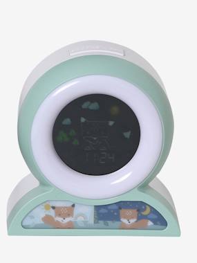 Toys-Educational Alarm Clock & Night Light