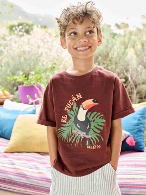 Garçon-T-shirt, polo, sous-pull-Tee-shirt motif toucan garçon