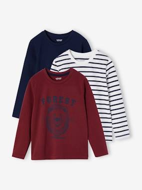 Garçon-T-shirt, polo, sous-pull-T-shirt-Lot de 3 T-shirts garçon manches longues