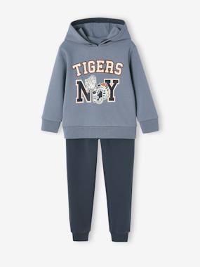 Boys-Sportswear-Sports Combo: Hoodie & Joggers for Boys