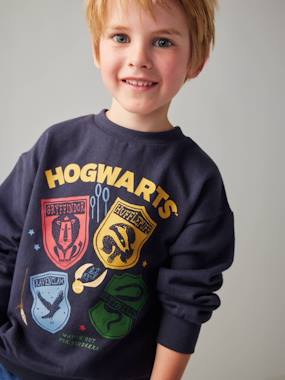 -Sweat Harry Potter® Blasons garçon