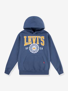 Boys-Cardigans, Jumpers & Sweatshirts-Sweatshirts & Hoodies-LVB Sporty Hoodie LEVI'S KID'S