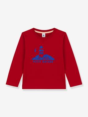 T-shirt enfant manches longues en coton PETIT BATEAU  - vertbaudet enfant