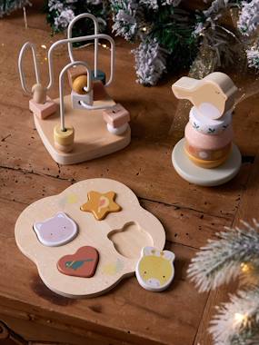 Toys-Early Learning Toy Set in FSC® Wood