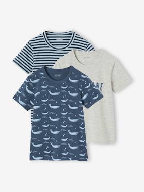 Garçon-Lot de 3 t-shirts "Baleine" garçon manches courtes