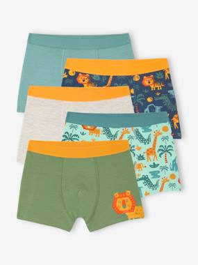 Boys-Underwear-5 pack of Jungle stretch boxer shorts for boys