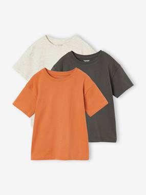 Garçon-T-shirt, polo, sous-pull-T-shirt-Lot de 3 t-shirts Basics garçon unis