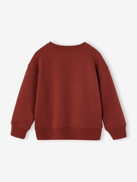 Sweatshirt with Chest Motif for Boys pistachio+terracotta - vertbaudet enfant 