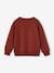 Sweatshirt with Chest Motif for Boys pistachio+terracotta - vertbaudet enfant 