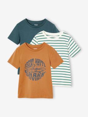 Boys-Pack of 3 Assorted T-Shirts for Boys