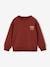 Sweatshirt with Chest Motif for Boys pistachio+terracotta - vertbaudet enfant 