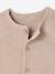 Baby Cardigan - BASICS 100% Cotton ecru+marl beige+navy blue+sage green - vertbaudet enfant 