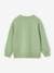 Sweatshirt with Chest Motif for Boys pistachio+terracotta - vertbaudet enfant 