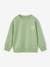 Sweatshirt with Chest Motif for Boys pistachio+terracotta - vertbaudet enfant 