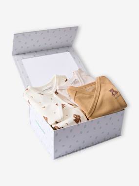 Baby-Pyjamas & Sleepsuits-Sleepsuit gift set and 2 bear bodysuits