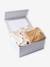 Sleepsuit gift set and 2 bear bodysuits ecru - vertbaudet enfant 