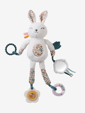 -Retro Flowers giraffe activity toy 