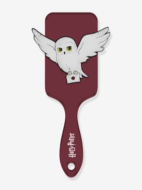 Girls-HARRY POTTER Hairbrush with Hedwig 3D Silicone Appliqué