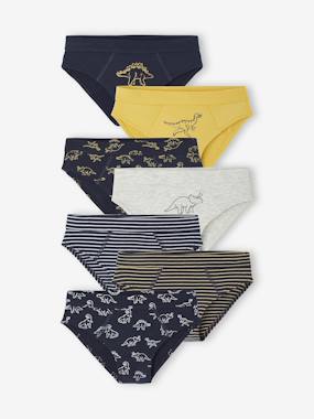 Slips Petit Bateau Garçon - Lot De 3 - 100% Coton - Imprimé Dinosaures - Lavable En Machine