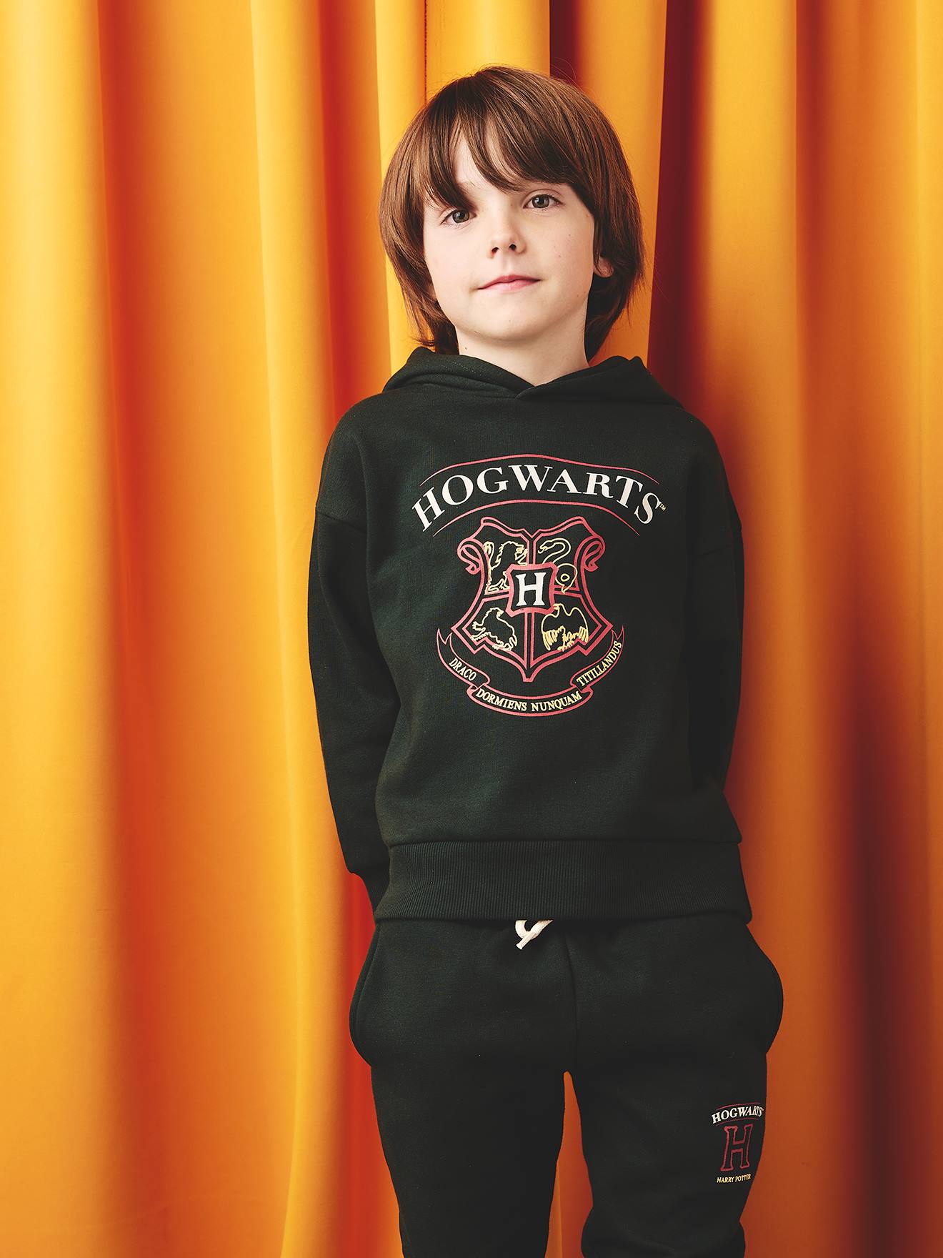 Harry Potter jongens Zweinstein geschilderd Crest Sweatshirt kopen vanaf een prijs van 21