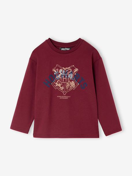 Peignoir Harry Potter Homme Harry Potter Pyjama Velours Harry Potter Garçon Pas Cher Jouet Harry Potter