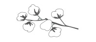 Coton